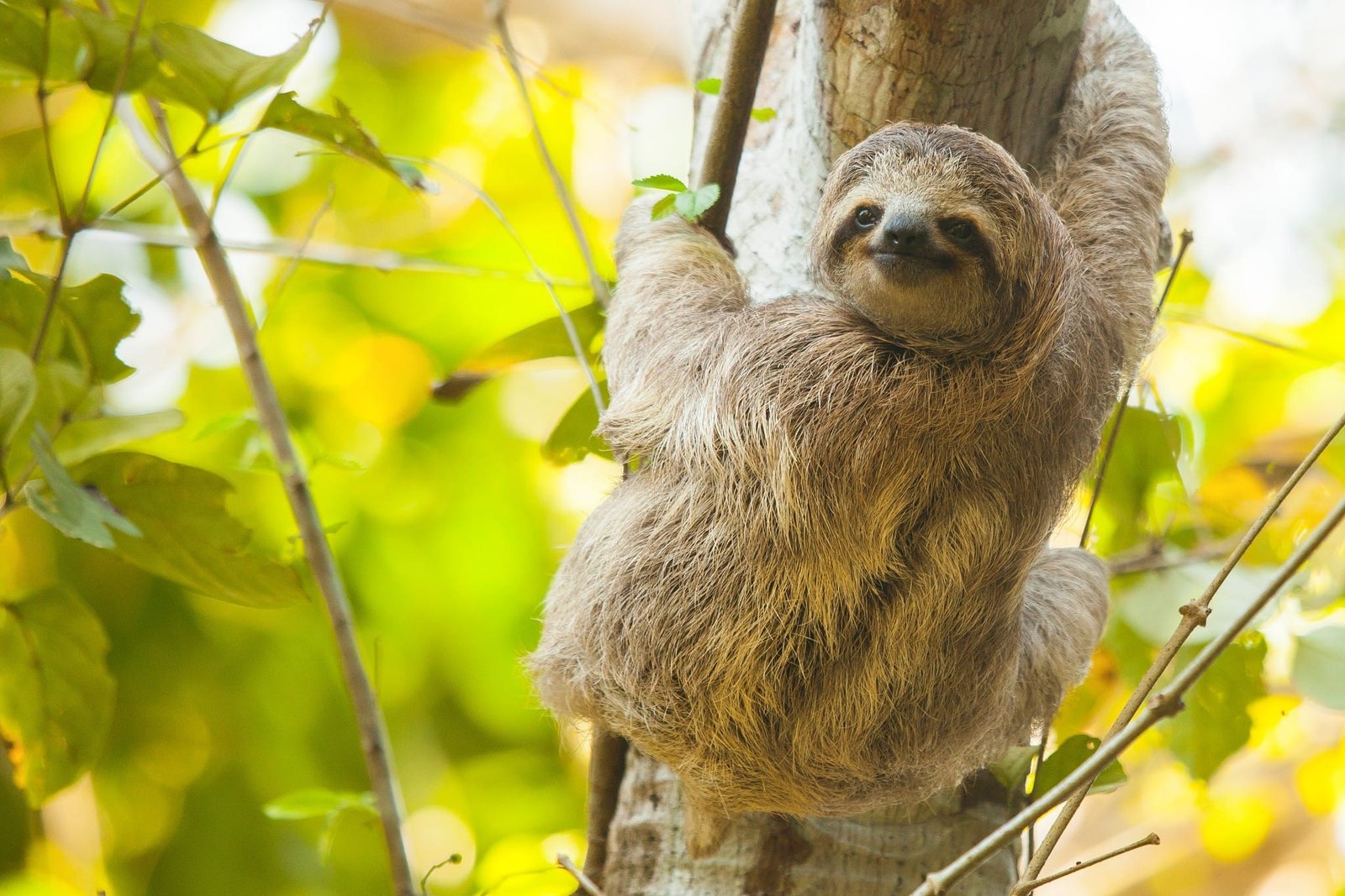 Costa Rica Sun Tours