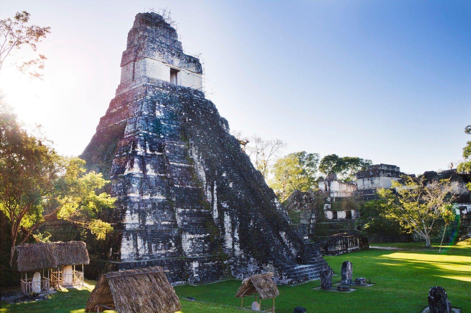 Maya Trails