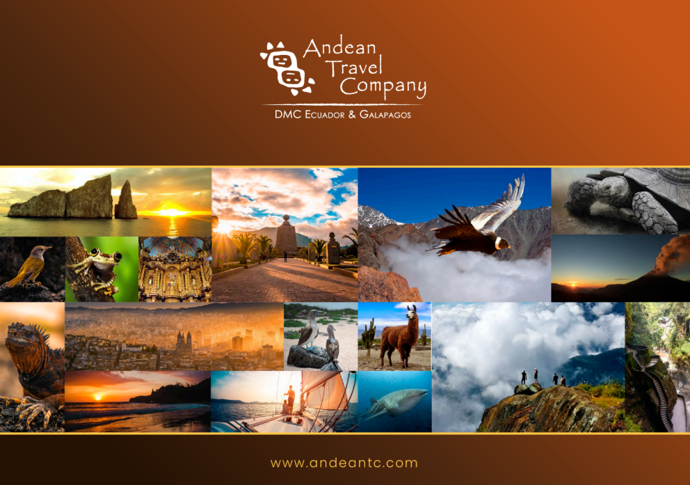 Andean Travel Company