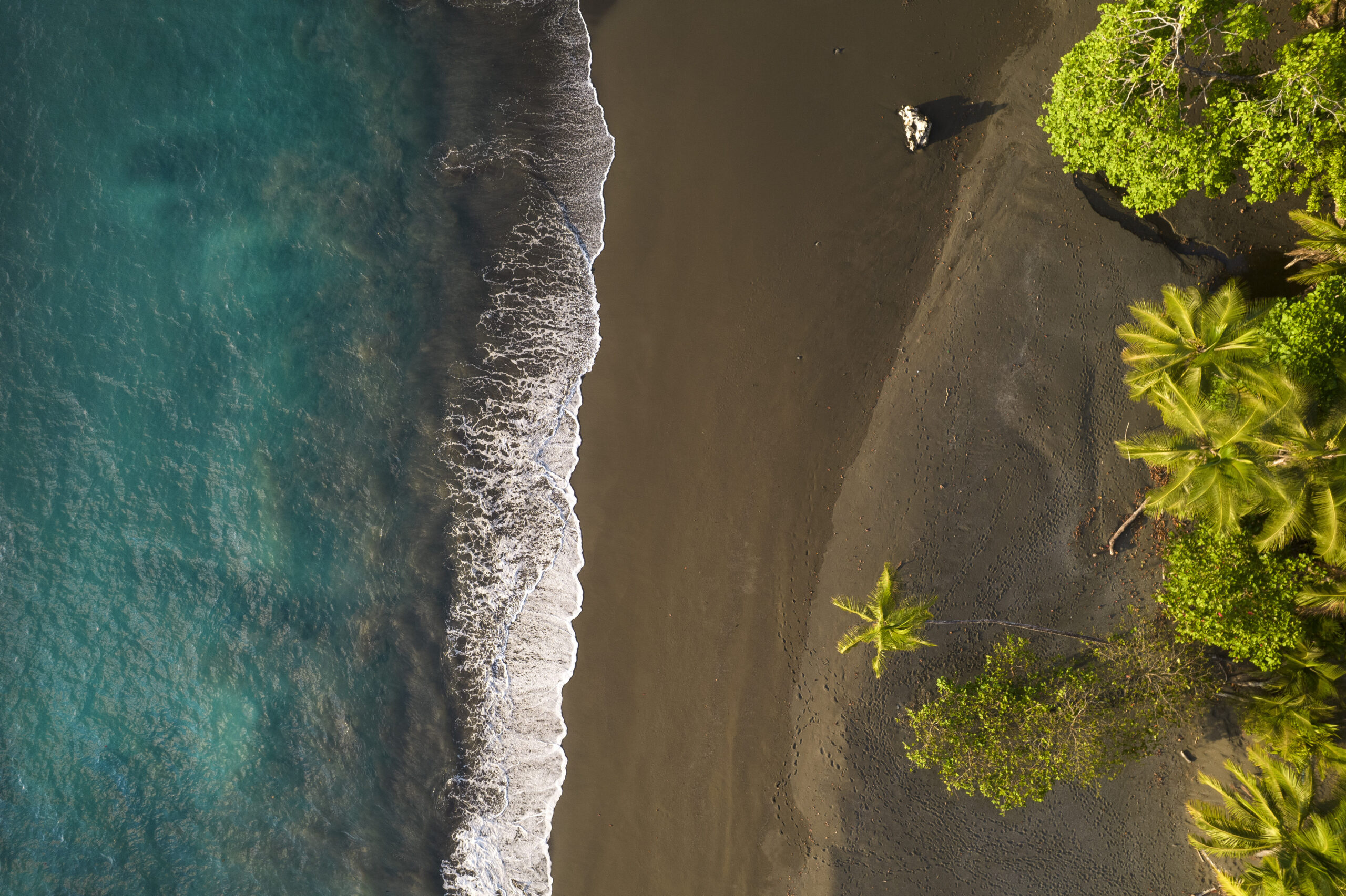 THE COSTA RICA COLLECTION