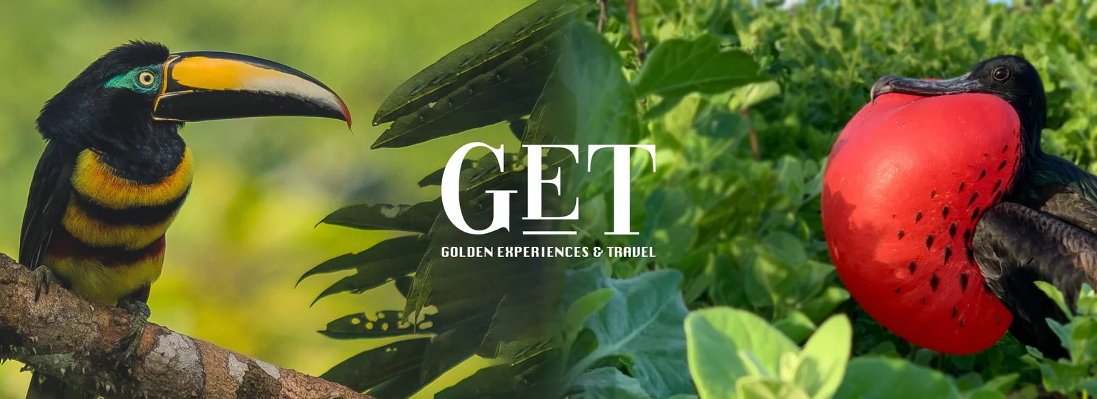Golden Experiences & Travel
