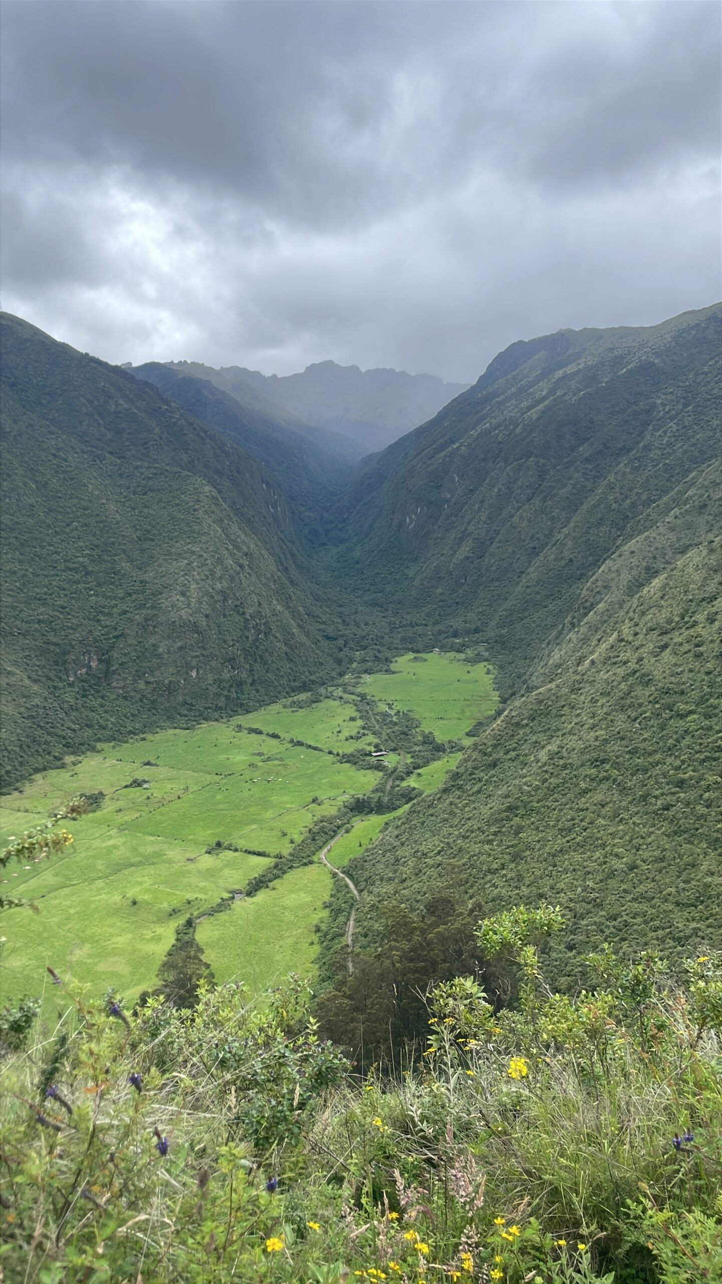 Hacienda Zuleta - Andes Ecuador